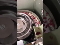 دستگاه بسته بندی دانه های عمودی برای دانه های شکلاتی