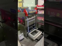 دستگاه پلمپ برقی DF280YT