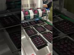 زنجیره ایرفلو