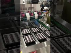 زنجیره ایرفلو ۲