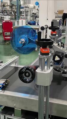 Manufacturer Direct Sale Fully Automatic Lift-and-Labeling Machine CH-602F for Food Self-Sealing Bags and PE Plastic Bags