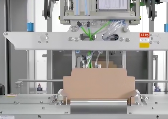 Automatic Intelligent Two-Axis Robotic Case Packer Robotic Case Erector Intelligent Robotic Carton Unpacking Machine